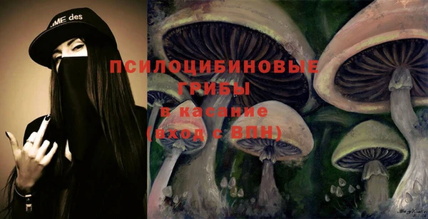 стафф Абдулино